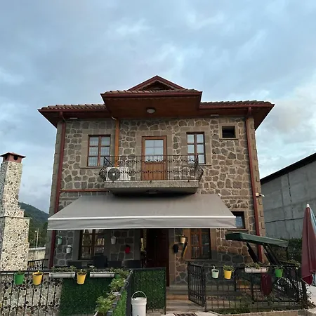 Villa Natural