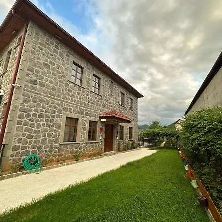 Natural Villa