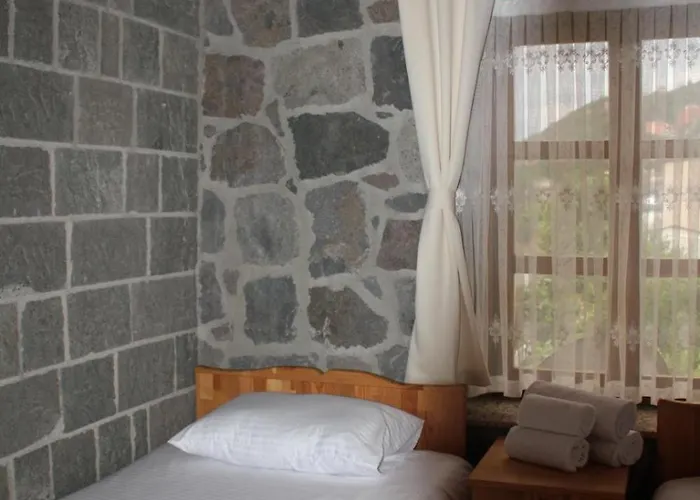 Natural Villa Trabzon